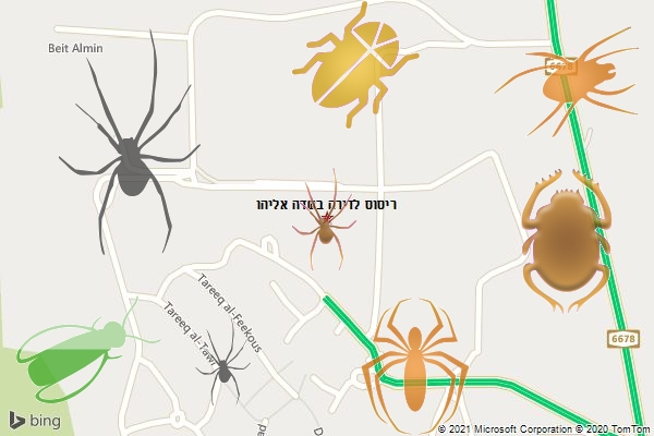 ריסוס לדירה בשדה אליהו