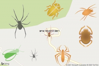  באל עריאן - ריסוס לדירה באל עריאן