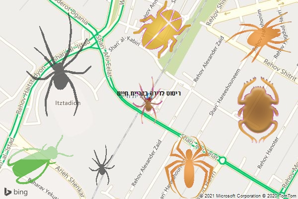 ריסוס לדירה בקריית חיים