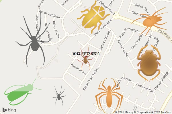 ריסוס לדירה בניצן