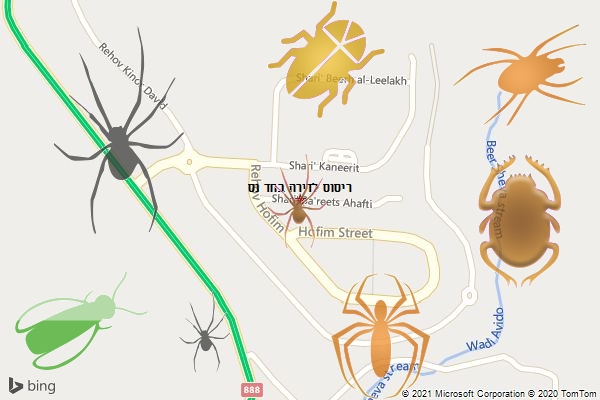 ריסוס לדירה בחד נס