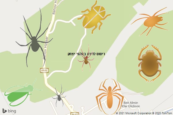 ריסוס לדירה באלוני יצחק