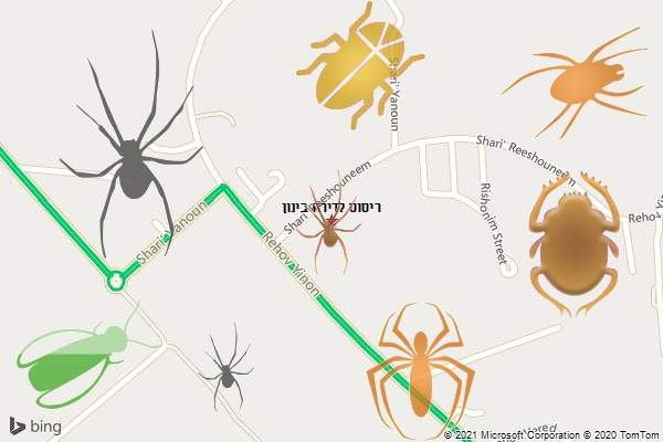 ריסוס לדירה בינון