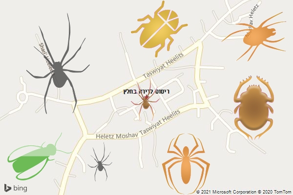 ריסוס לדירה בחלץ