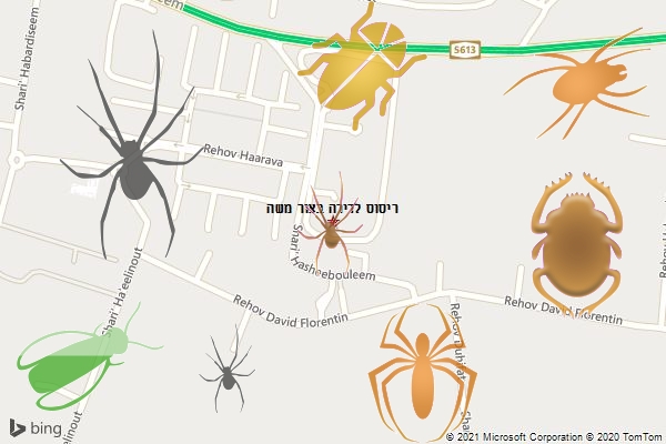 ריסוס לדירה בצור משה