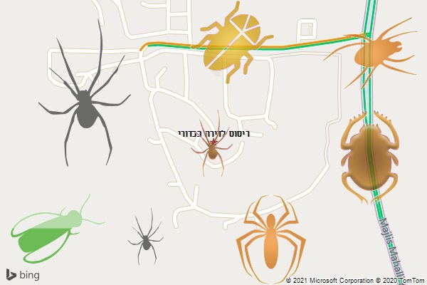 ריסוס לדירה בכדורי