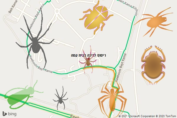 ריסוס לדירה בבית קמה