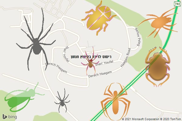 ריסוס לדירה בקיבוץ חנתון