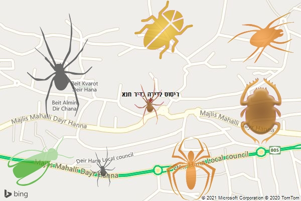 ריסוס לדירה בדיר חנא