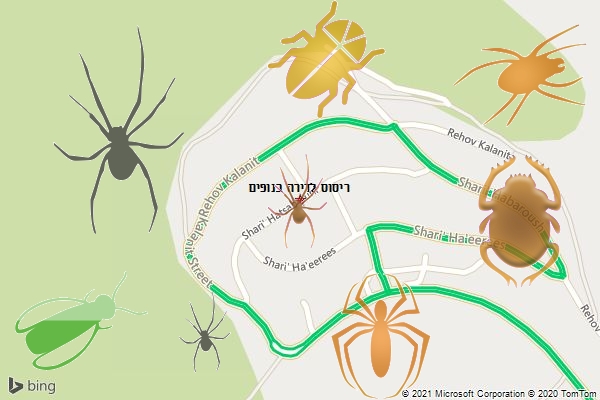 ריסוס לדירה בנופים
