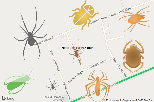 ריסוס לדירה ביסוד המעלה