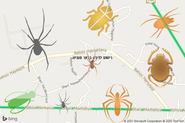 ריסוס לדירה בבאר טוביה
