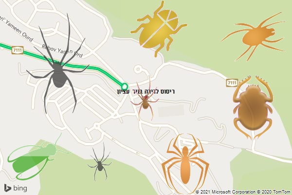 ריסוס לדירה בניר עציון