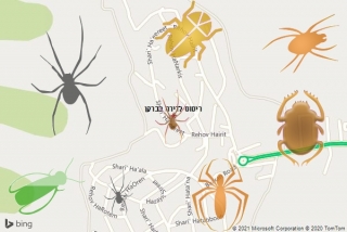 שירות ריסוס בברקן - ריסוס לדירה בברקן