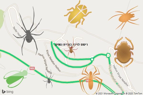 ריסוס לדירה בקריית נטפים