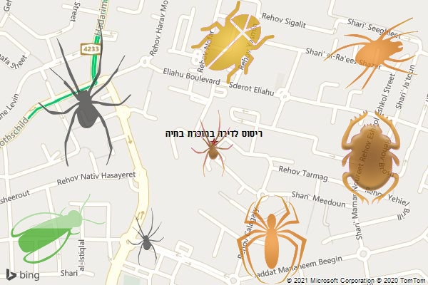 ריסוס לדירה במזכרת בתיה