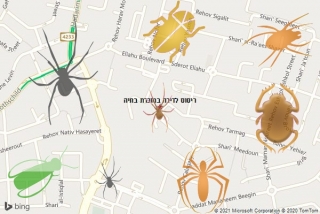 שירות ריסוס במזכרת בתיה - ריסוס לדירה במזכרת בתיה