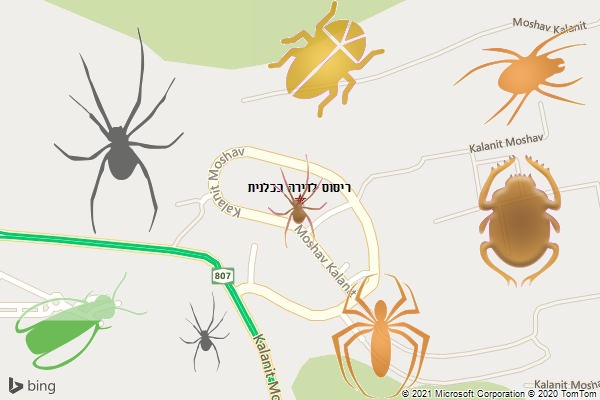 ריסוס לדירה בכלנית