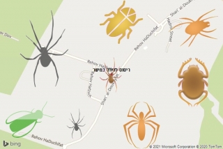 שירות ריסוס במישר - ריסוס לדירה במישר