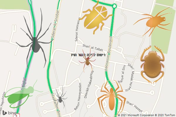 ריסוס לדירה בגשר הזיו