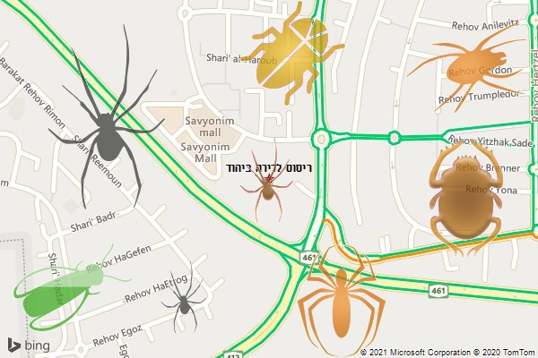 ריסוס לדירה ביהוד