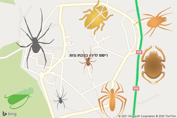 ריסוס לדירה בקיבוץ גדות