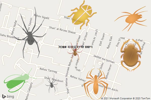 ריסוס לדירה במרכז אשכול