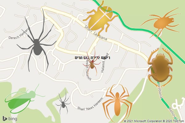 ריסוס לדירה בנס הרים