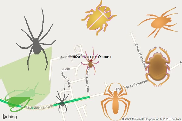 ריסוס לדירה בתלמי אלעזר