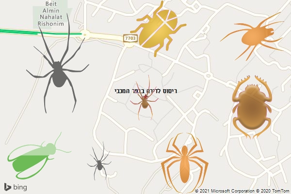 ריסוס לדירה בכפר המכבי