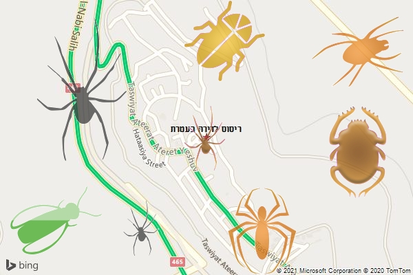 ריסוס לדירה בעטרת