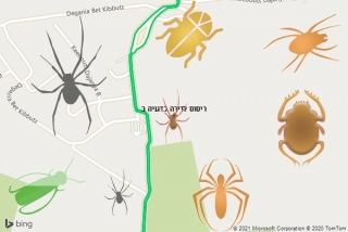 שירות ריסוס בדגניה ב - ריסוס לדירה בדגניה ב