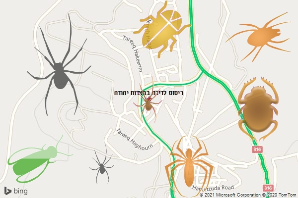 ריסוס לדירה במצדות יהודה