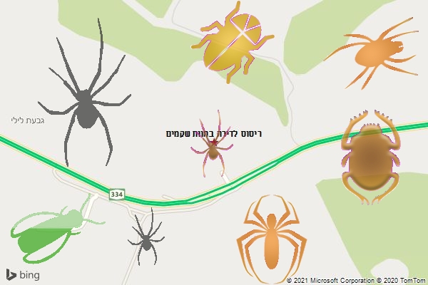 ריסוס לדירה בחוות שקמים