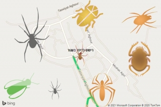 שירות ריסוס בעגור - ריסוס לדירה בעגור