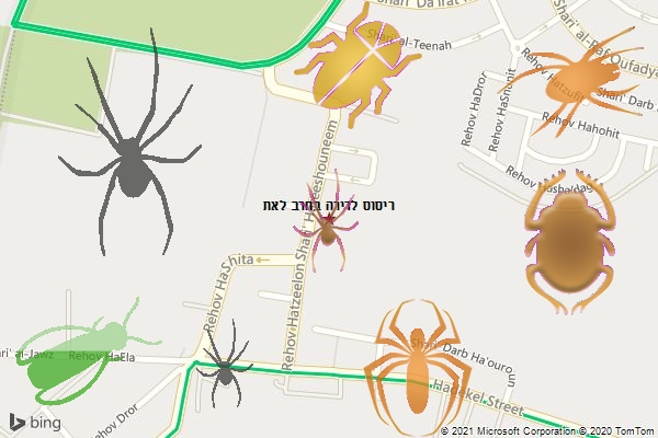 ריסוס לדירה בחרב לאת