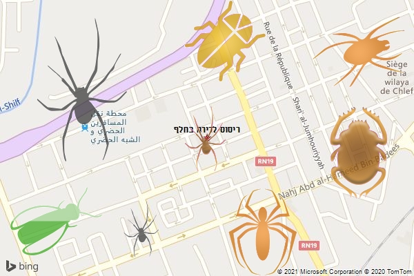 ריסוס לדירה בחלף