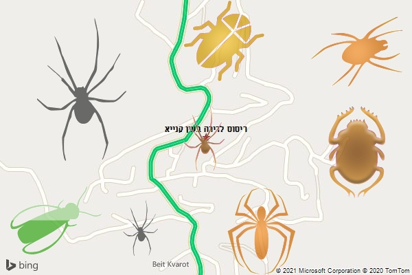 ריסוס לדירה בעין קנייא