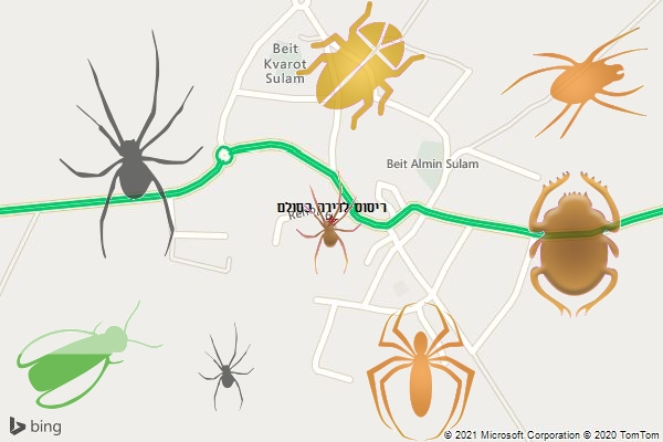 ריסוס לדירה בסולם
