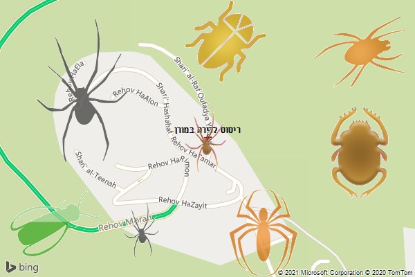 ריסוס לדירה במורן