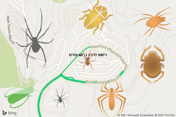 ריסוס לדירה בראש צורים