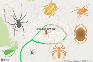 שירות ריסוס בראש צורים - ריסוס לדירה בראש צורים