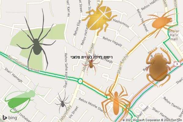 ריסוס לדירה בקריית מלאכי
