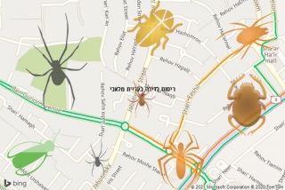 שירות ריסוס בקריית מלאכי - ריסוס לדירה בקריית מלאכי