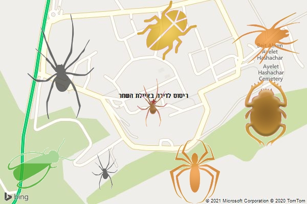 ריסוס לדירה באיילת השחר