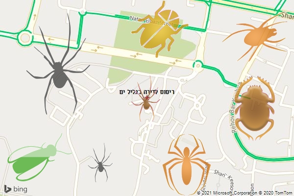 ריסוס לדירה בגליל ים