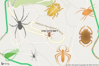 שירות ריסוס במירב - ריסוס לדירה במירב