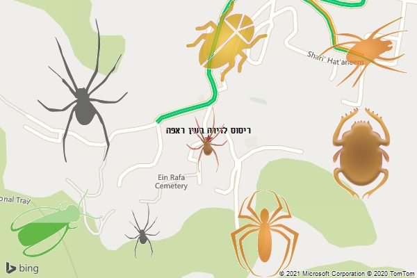 ריסוס לדירה בעין ראפה