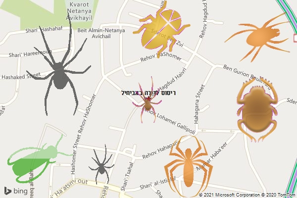 ריסוס לדירה באביחיל