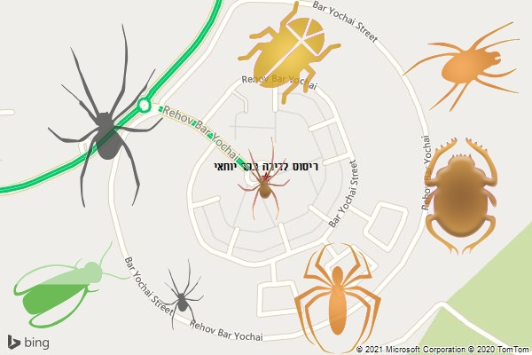 ריסוס לדירה בבר יוחאי